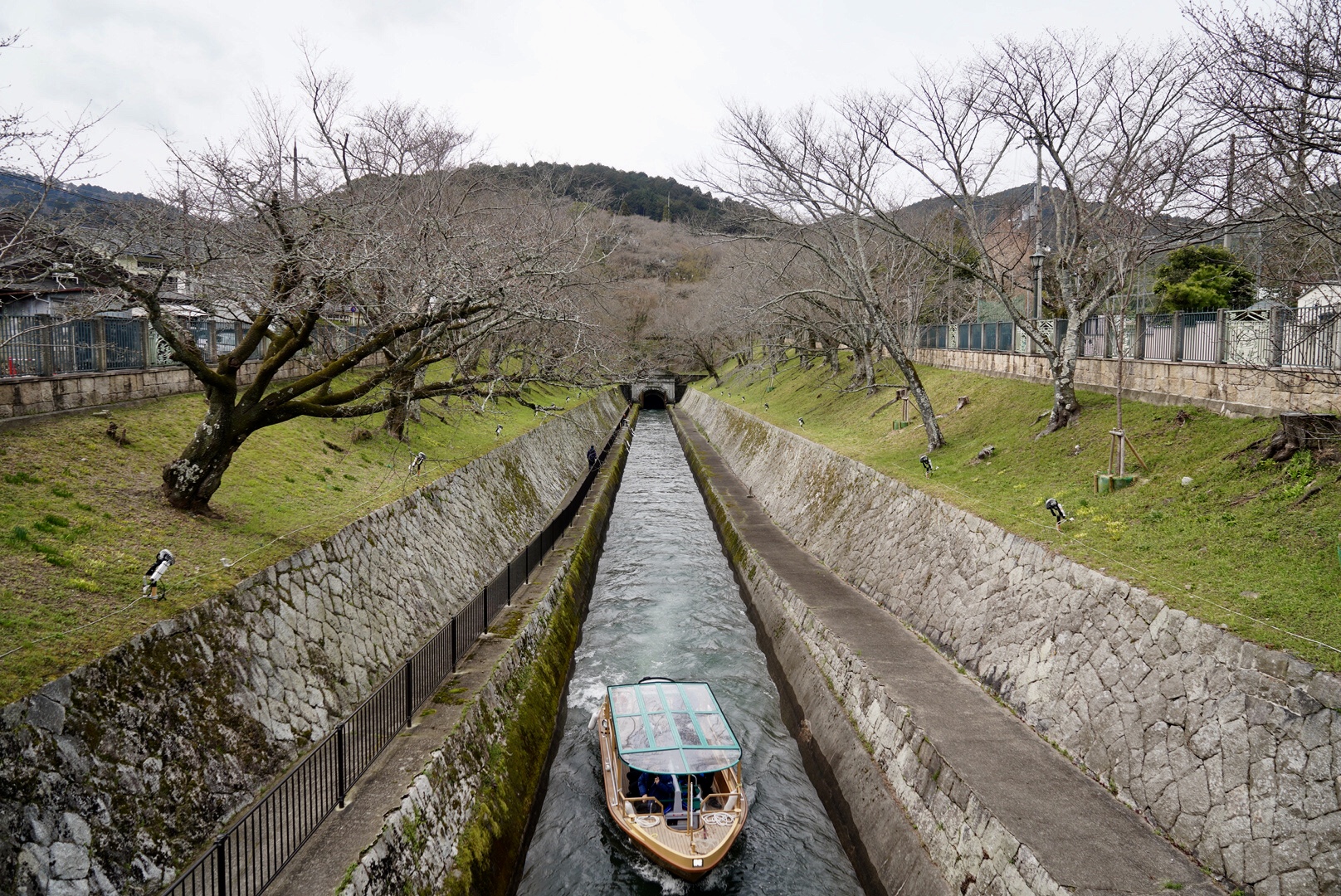 2019日本赏樱最新攻略|大津小众路线私家推荐