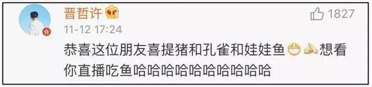 双11购物狂冠军视频,双11购物荒冠军排名