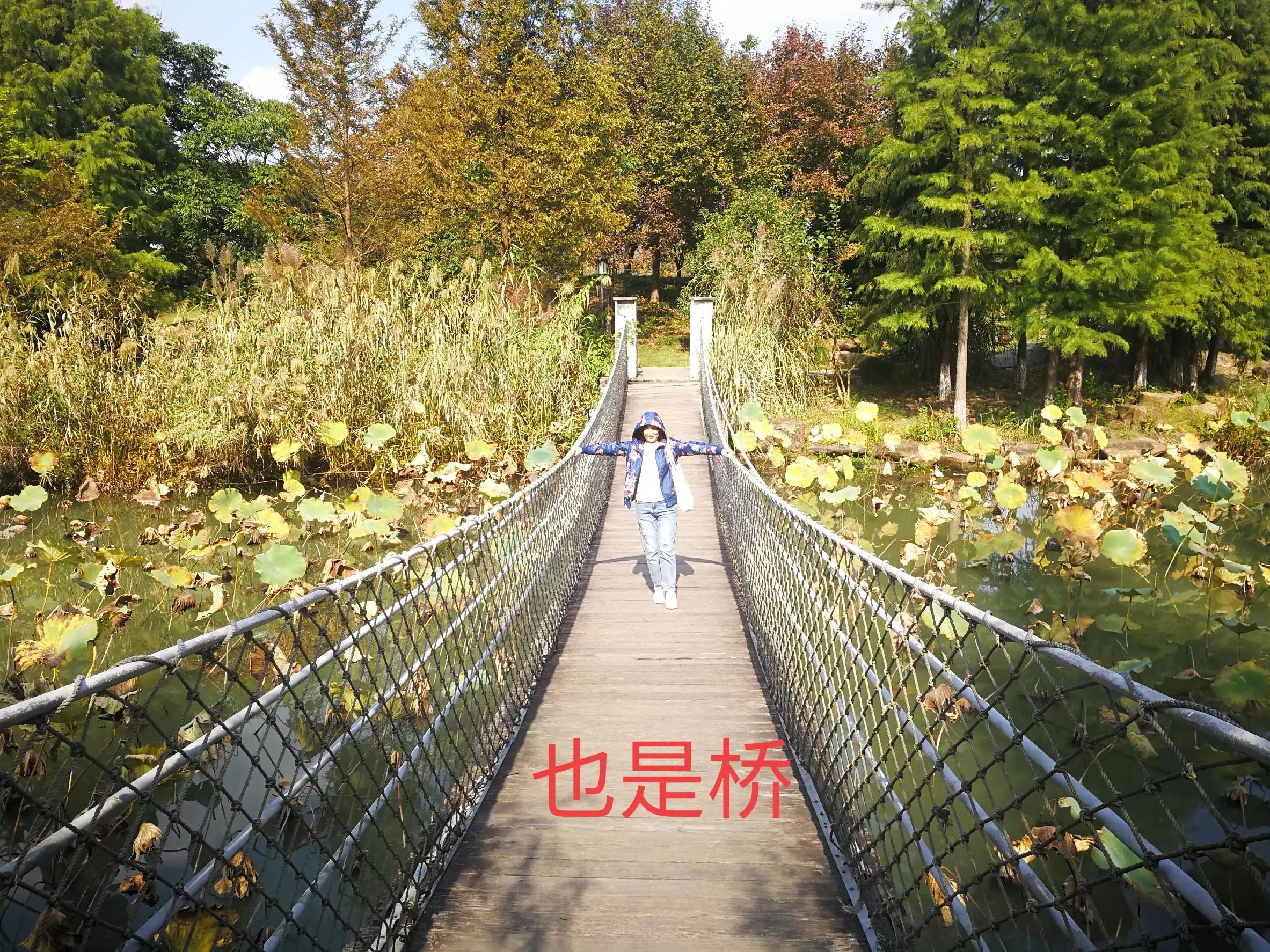 杭州美丽的湘湖风景秀丽优雅,杭州湘湖避暑好去处