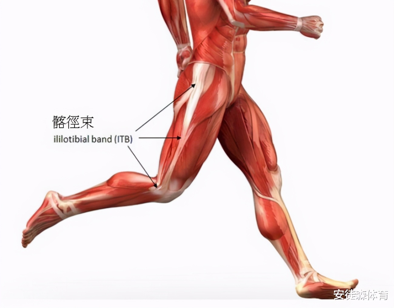 膝盖外侧痛的锻炼方法,膝盖外侧痛怎么贴肌肉贴