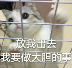 vivo手机有哪些黑科技功能,vivo手机隐藏的3大黑科技