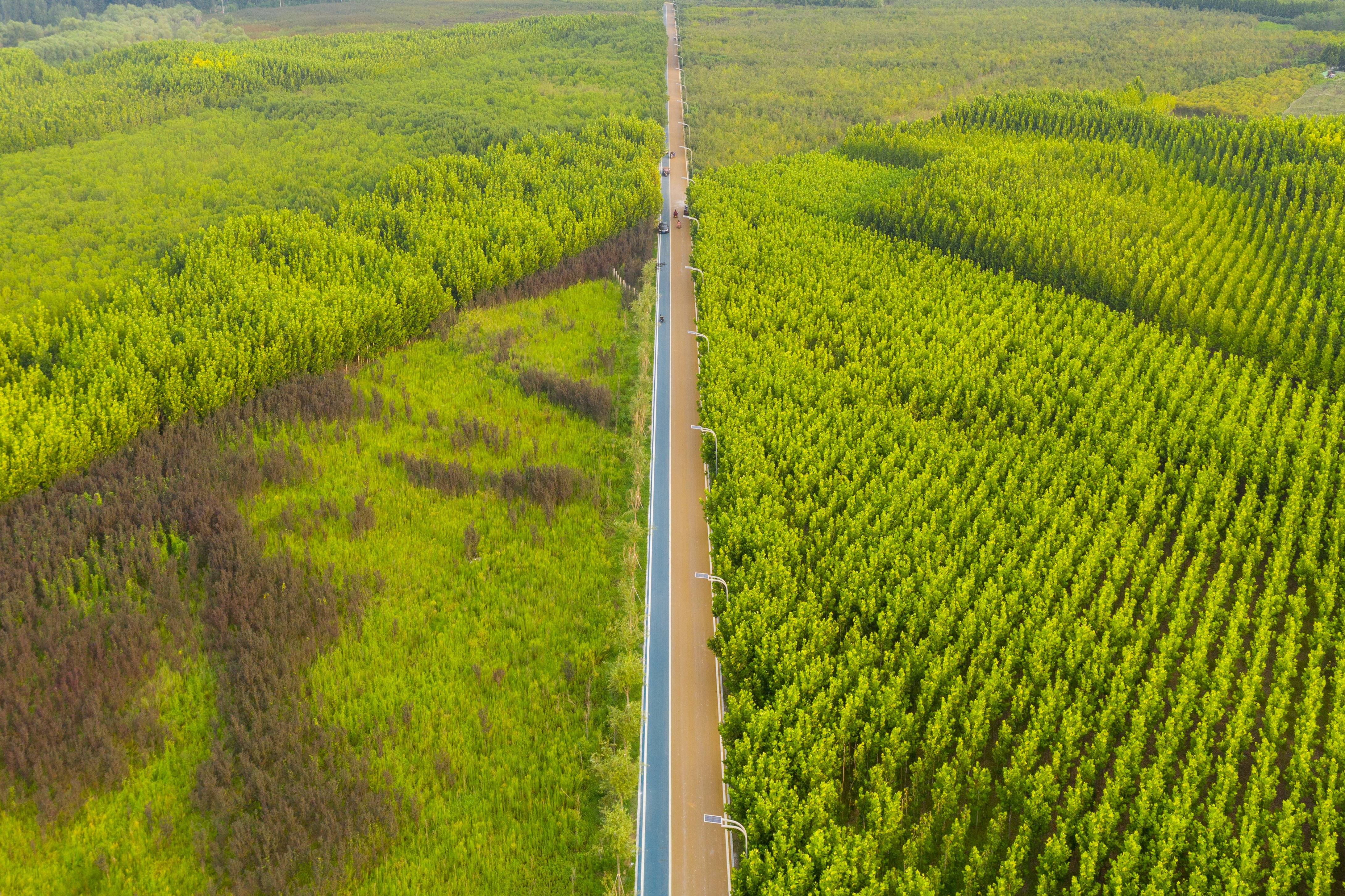 郑州黄河滩地公园游览图,河南郑州黄河湿地公园线路图