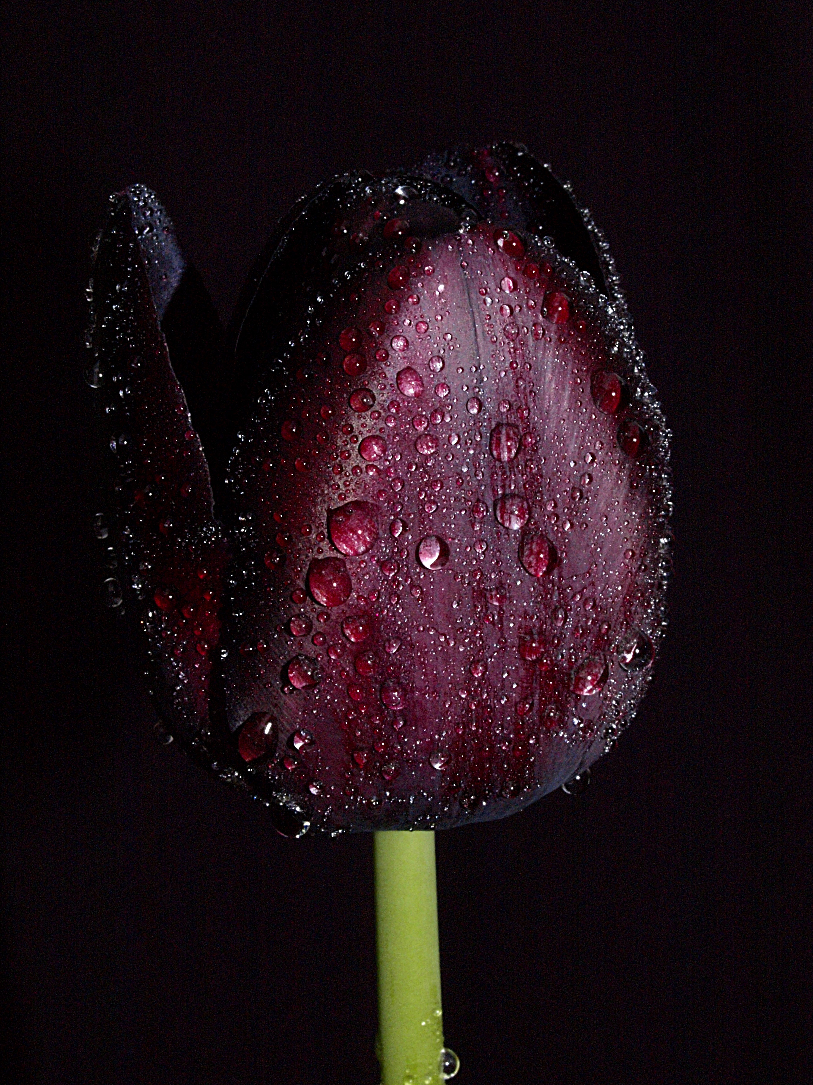 ios10.33越狱重启后失效,iphoneios10.3.3如何清除越狱环境