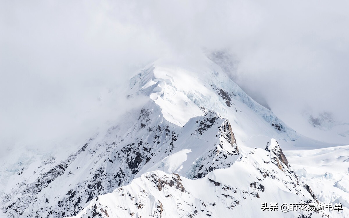 五篇推文欣赏,6小时完整推文