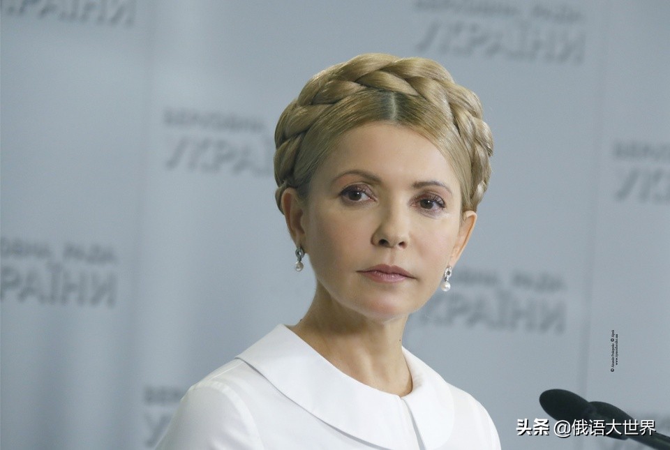 季莫申科个人简历出生时间,季莫申科波罗申科关系