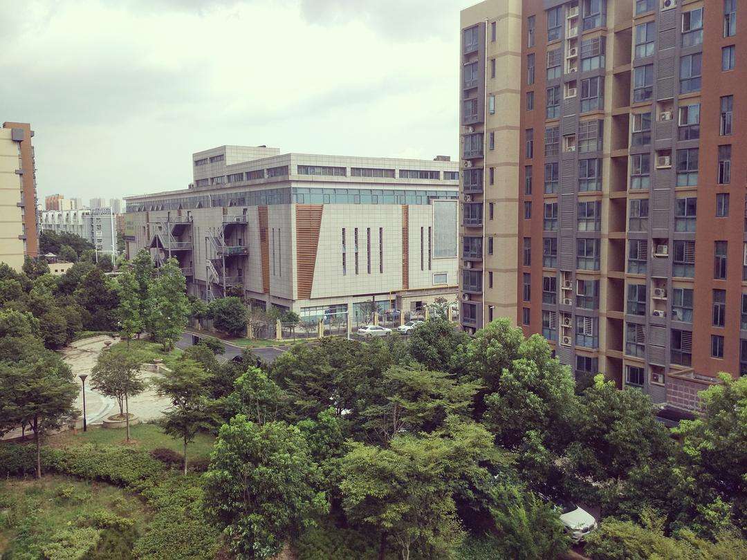 桥北四大楼盘评测，刚需和炒房客，为何偏偏它们青睐有加？