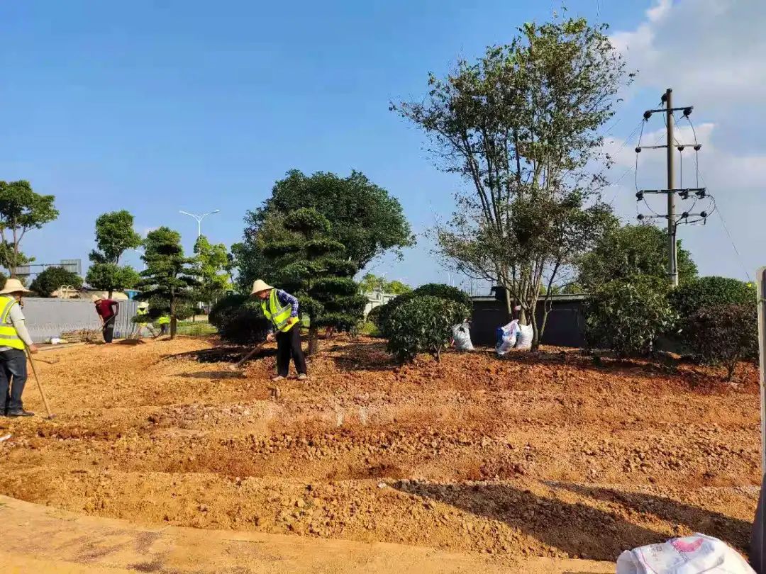 望城“百日攻坚”，城投项目在提速！