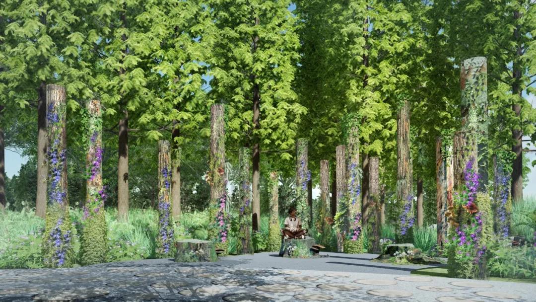 用“绿野仙踪”讲好上海故事！华建集团环境院带你感受园艺魅力