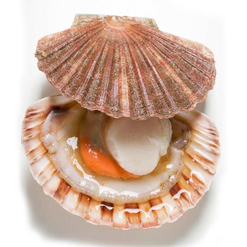 大连长海县海鲜自助,长海县海鲜预订