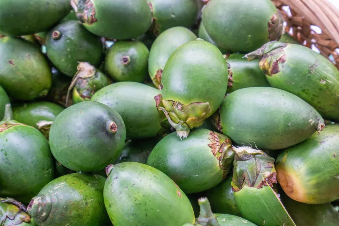 潮汕人从小吃到大的油柑,潮汕特有油柑