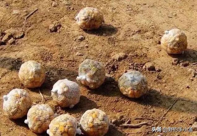 如何正确的打窝,如何正确打窝