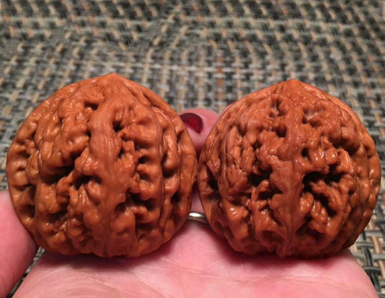 特别尖的核桃是什么品种,修尖又修底的核桃