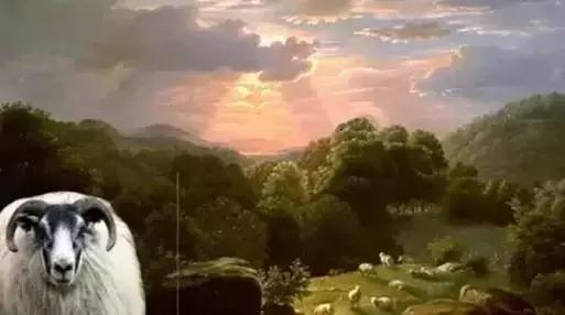 怎样零基础如何学画画,绘画8-12岁儿童学画画