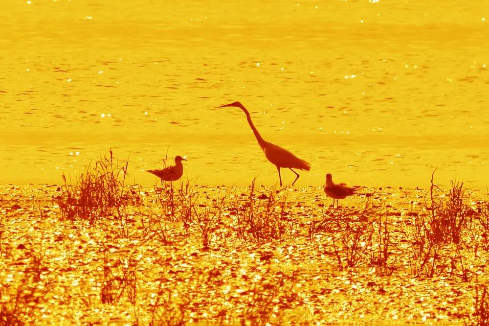 青岛国家海洋公园免费,海洋公园青岛最新