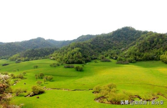宝鸡凤县到关山牧场,宝鸡关山牧场冬天景色