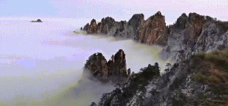 迎客松雪中美景,迎客松下