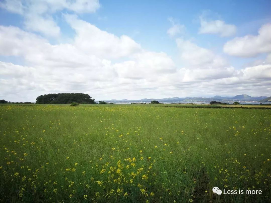 韩国济州岛超详细旅游规划攻略,韩国济州岛攻略自由行