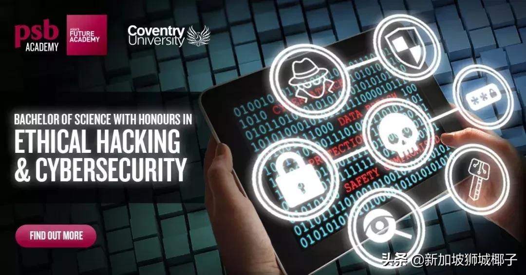 高薪!一部中国热播偶像剧,让新加坡这个专业彻底火了