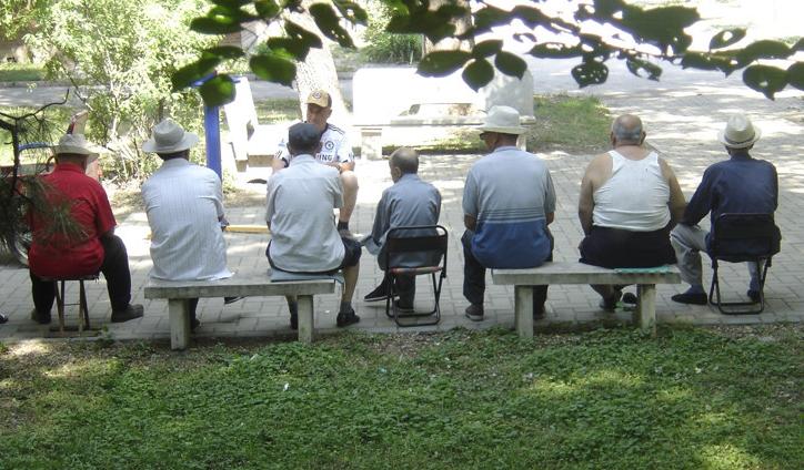 荷叶泡水喝能降脂和降压吗,荷叶和什么泡水喝减肥降脂最有效