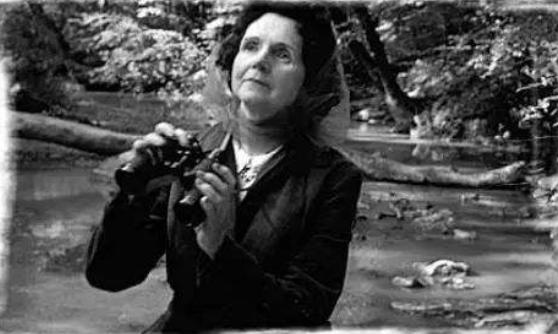 寂静的春天书评,寂静的春天读后感老师评语