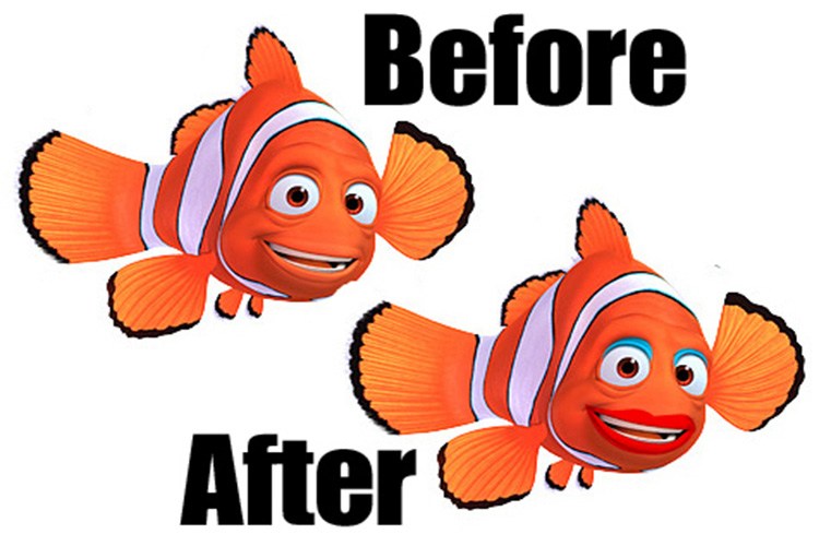 不用去泰国自己能变性？科学家发现神奇物种，21天之内由女变男