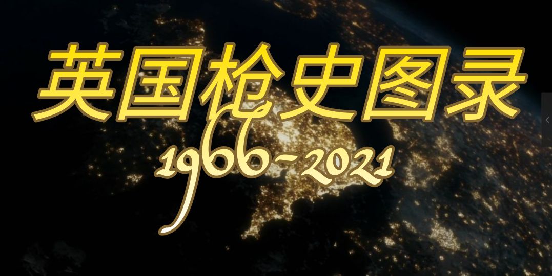 英国枪械发展史,英国枪械大全视频