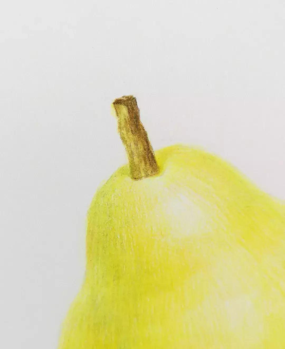 香梨彩铅画,彩铅肉肉的画法