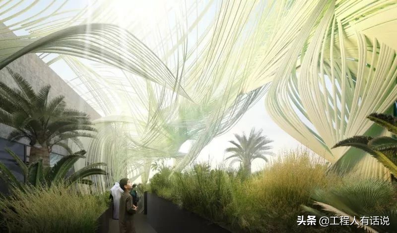 2020迪拜世博会，各国展馆“群魔乱舞”！建筑师的夏天