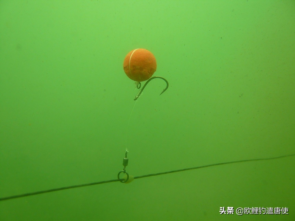 欧鲤钓钓组篇,欧鲤钓组和飞德钓组