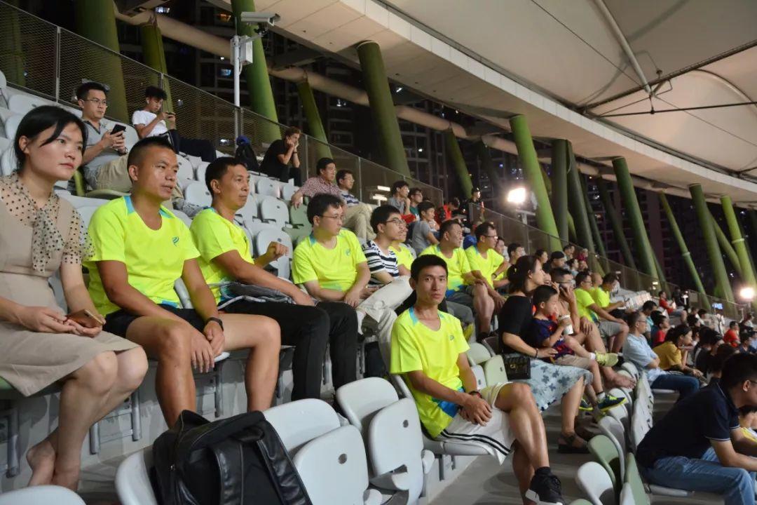 派迪茵体育股份有限公司,派迪茵足球比赛