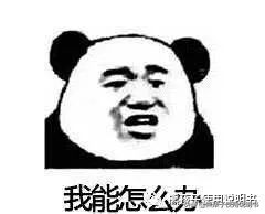 lily英语培训机构,lily英语培训机构还开着吗