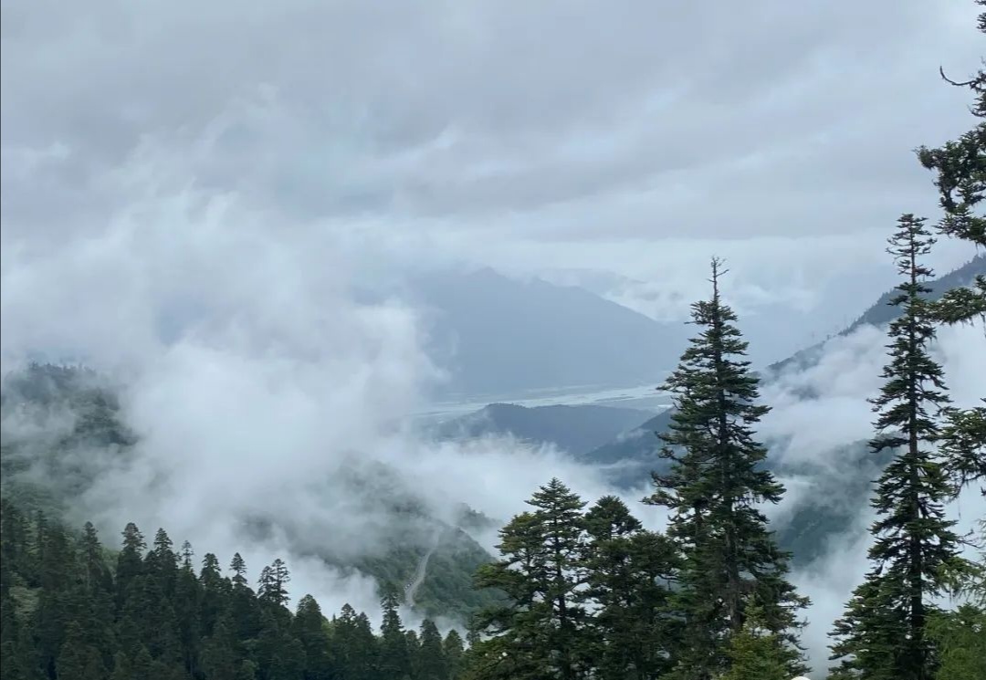 青藏高原原创版,歌曲翻唱青藏高原