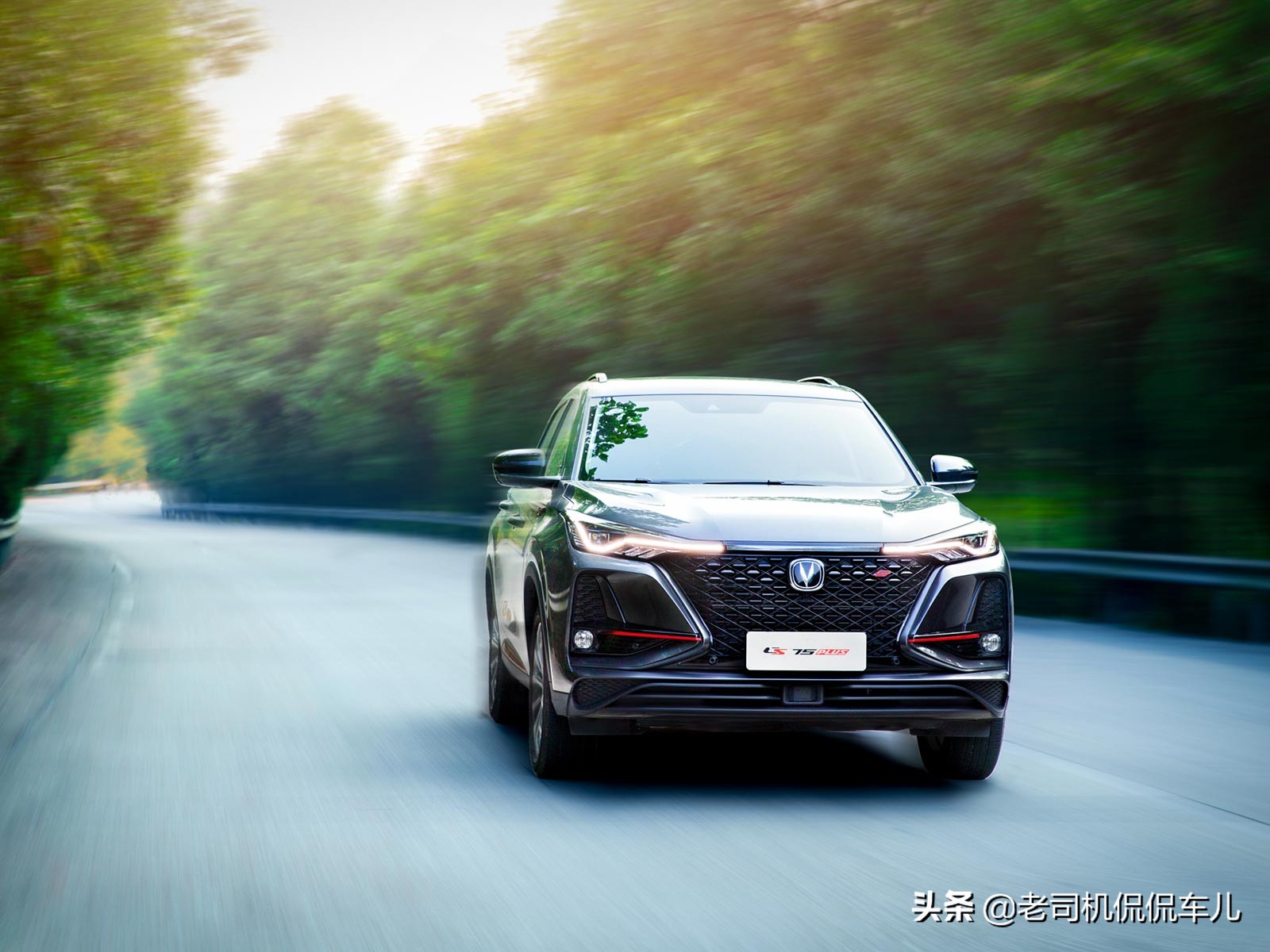 国产之光是合资车吗,国产之光