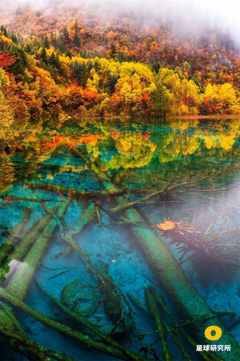 南方喀斯特世界遗产,中国南方喀斯特地貌特点