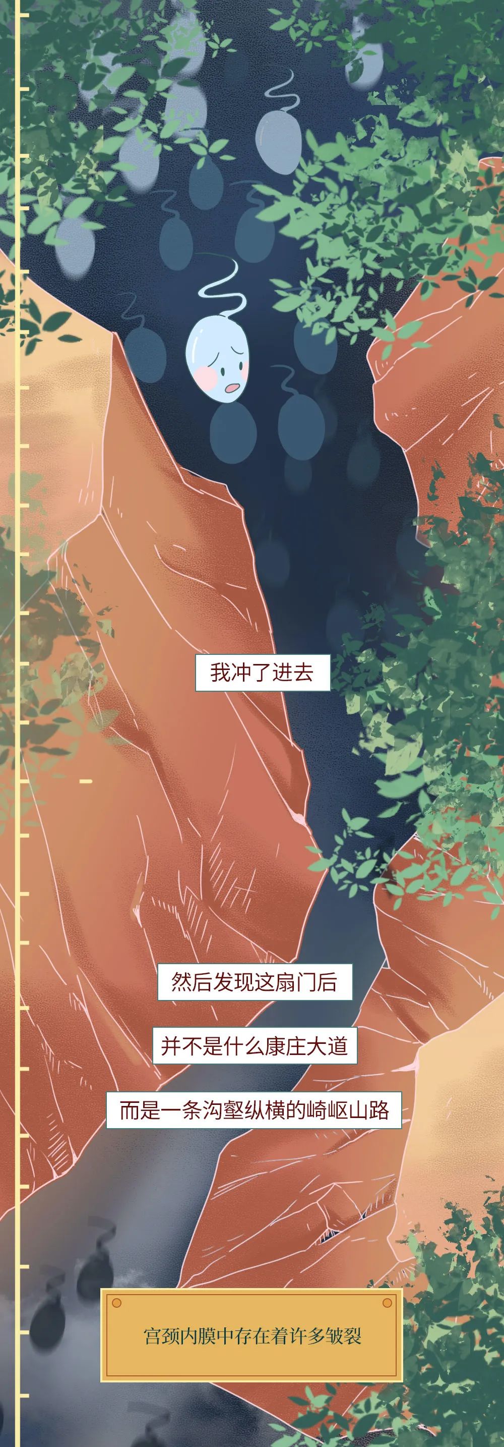 精子进入人体24小时变化,男性精子在体内存活时间