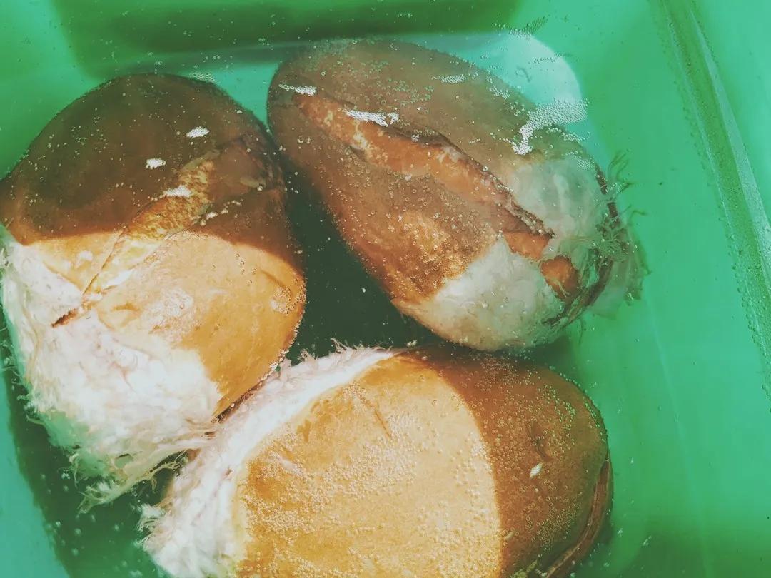 芒果核种芒果的过程,菠萝芒果核种植视频