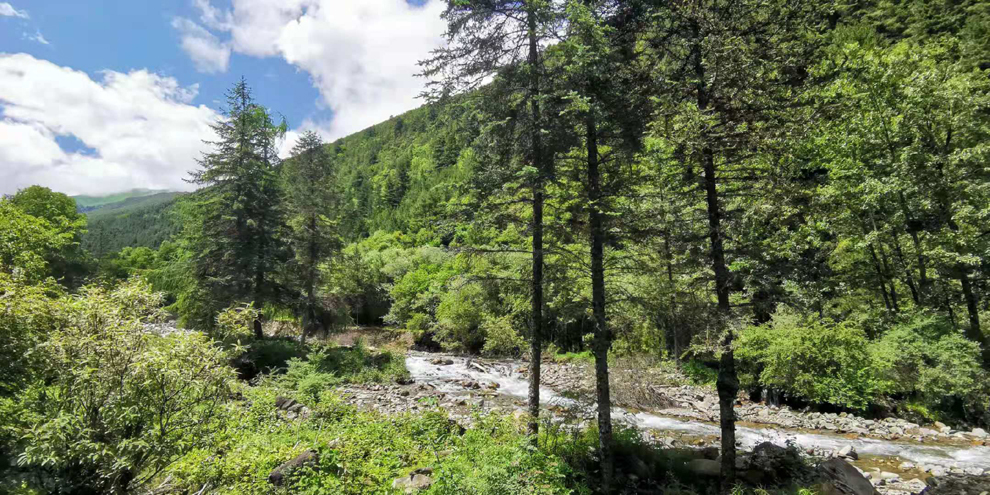 重走长征路夹金山,夹金山重走长征路在哪里