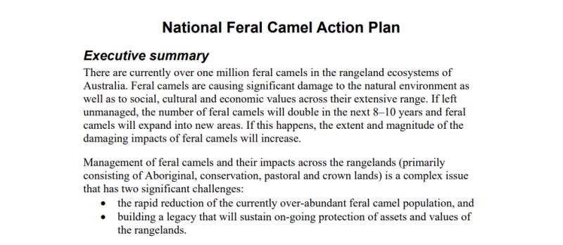 Maxinatal|来自澳洲北领地的营养配方驼奶粉