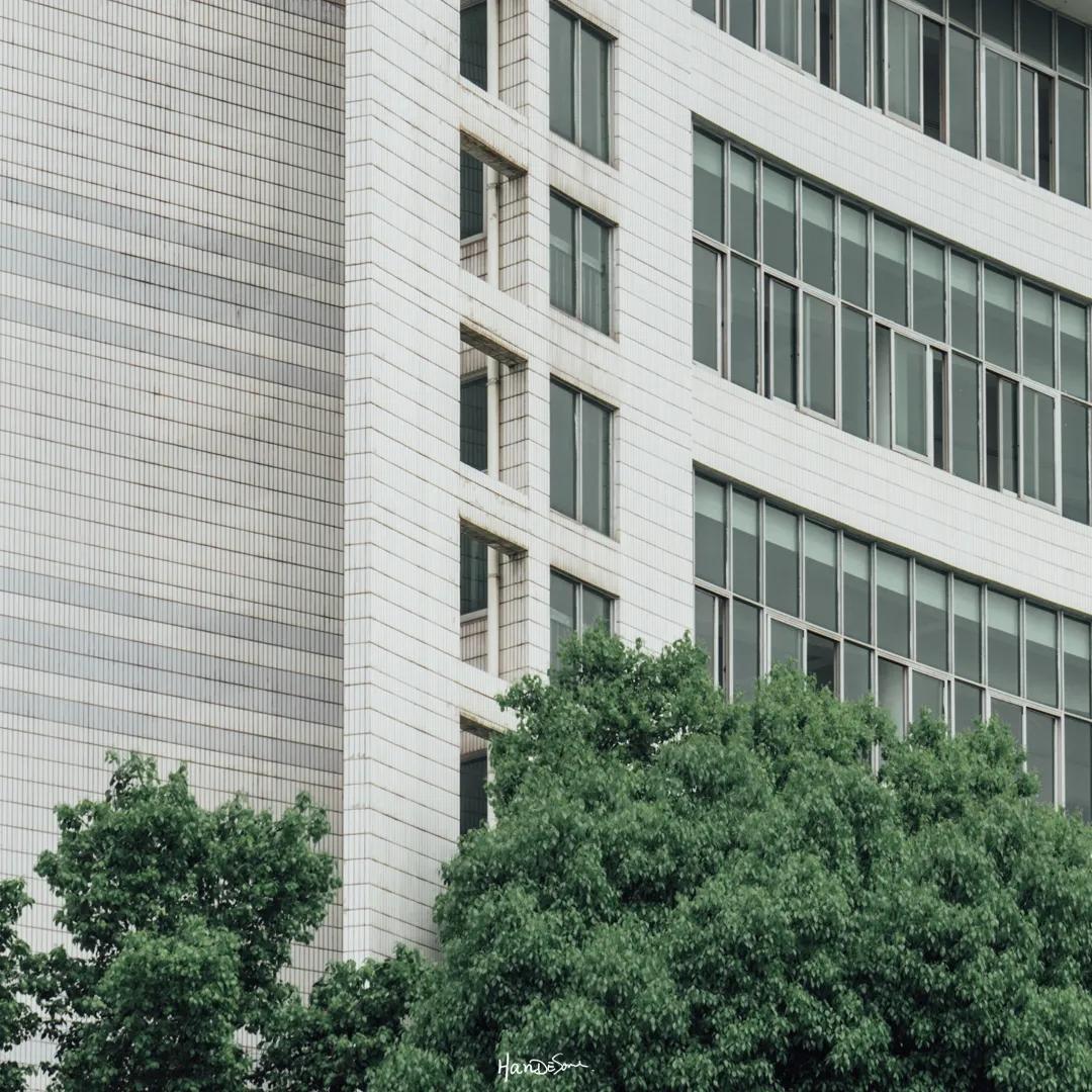 常青花园十二区房值得买吗,常青花园属于哪个社区