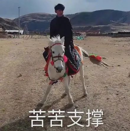 灵魂对话网红圈资深猎头：丁真的职业选择和未来
