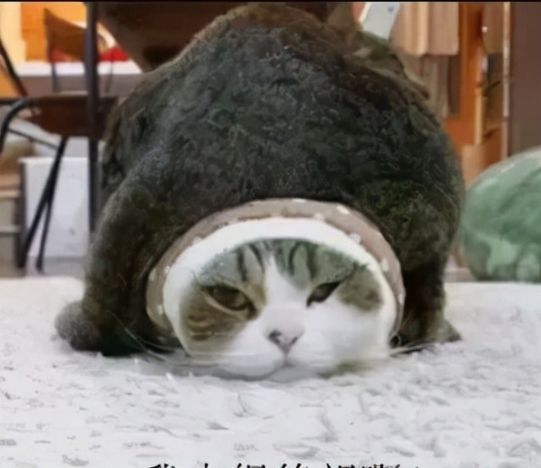 齿痕舌是内湿顽固的标志，教你4个方法，长期坚持消齿印