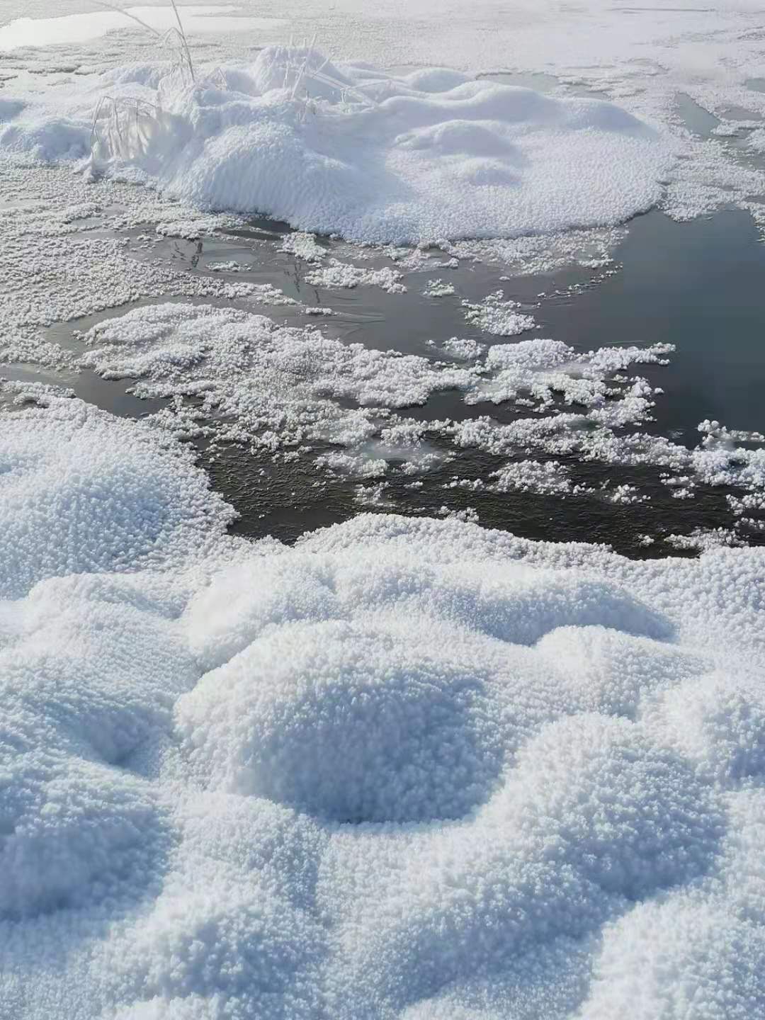 四川广电网络领奖视频,四川省级先进集体公示