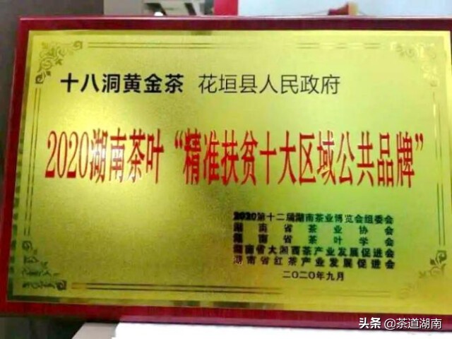 湖南十八洞黄金茶,十八洞黄金茶属于什么茶