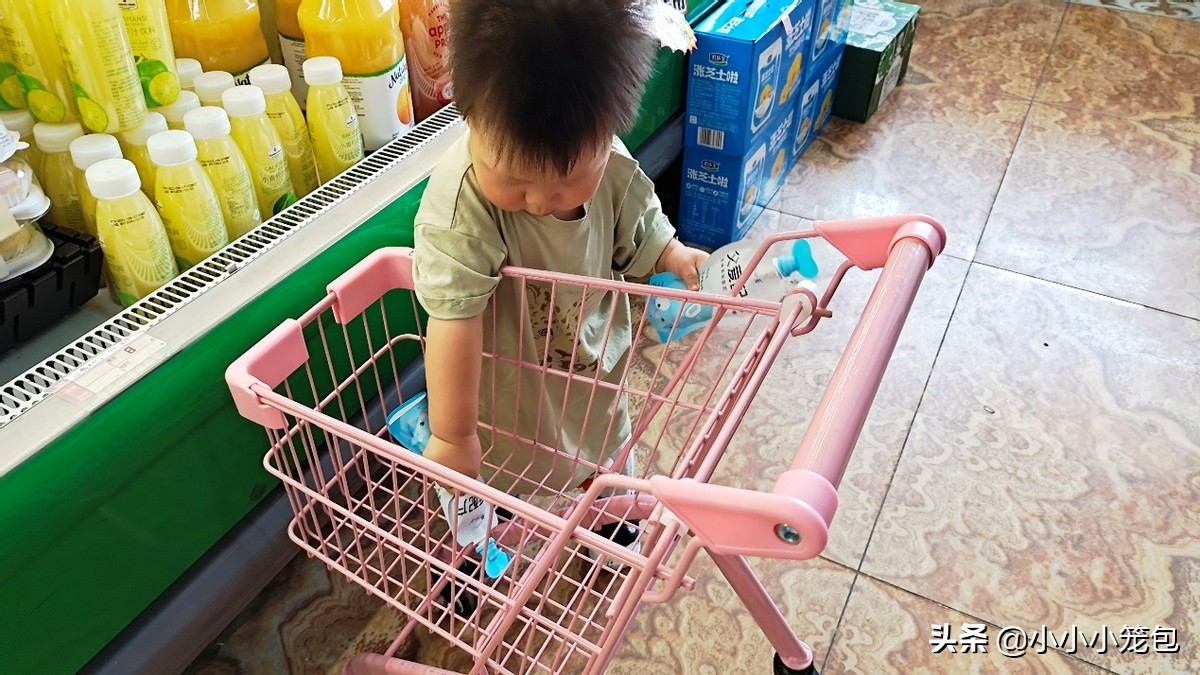 养宝宝一年总结,养娃食谱