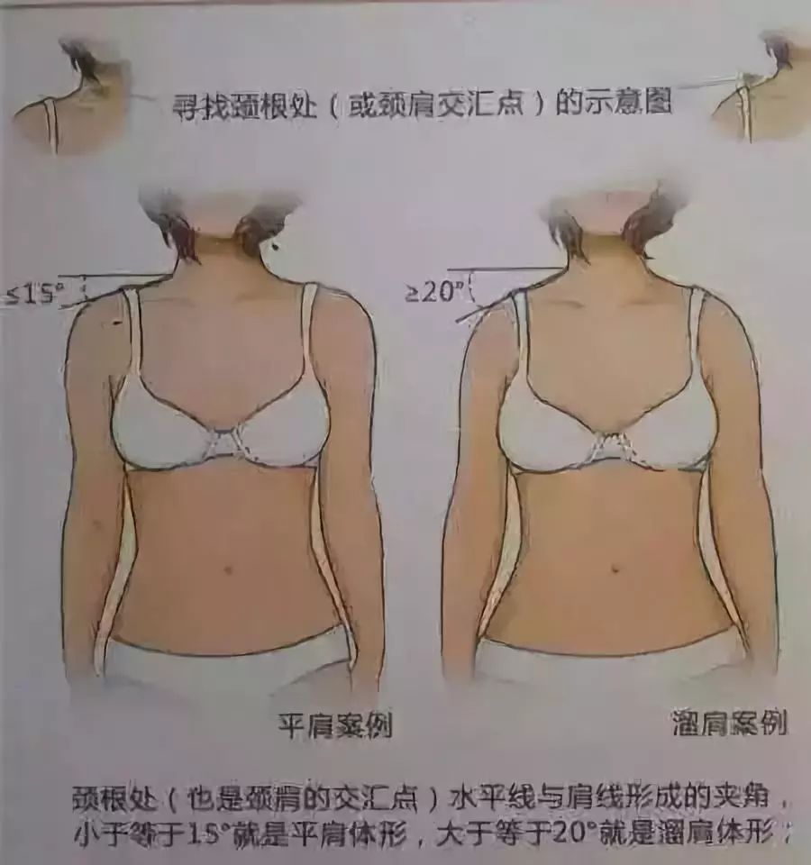 怎么拥有完美的颈部肌肉,怎么改善颈部线条