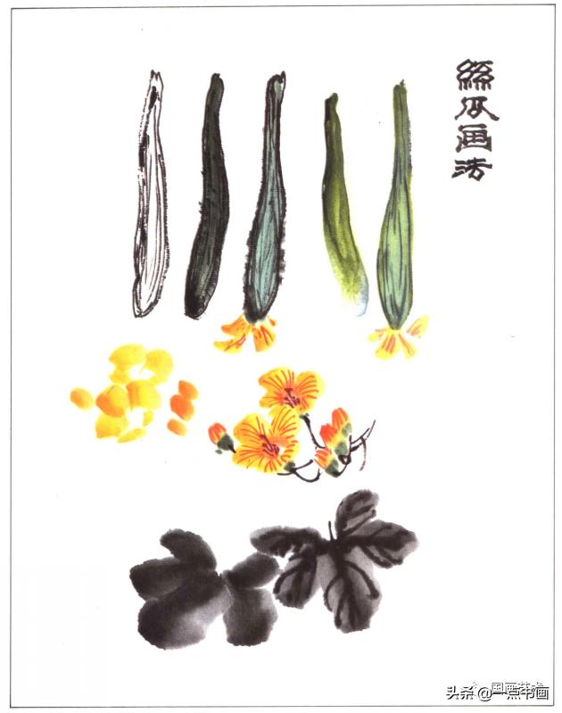 写意蔬果怎么画火龙果,100种写意蔬果画法