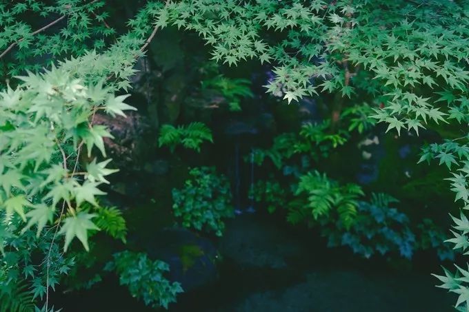 不一样的大阪三日游，瑠璃一束光，值得一来再来