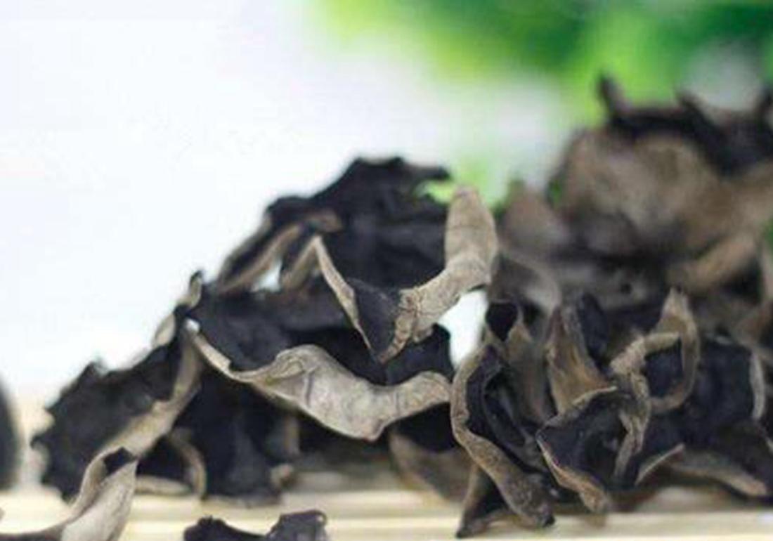 黑木耳露地栽培菌袋培养图片,黑木耳菌袋制作