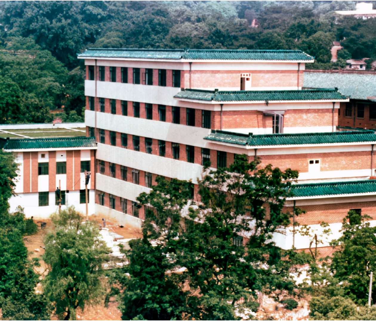 中国理事会完整视频,中国理事会