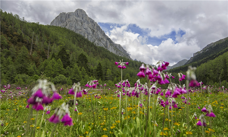 宜宾川藏线,宜宾自驾俱乐部参团西藏游